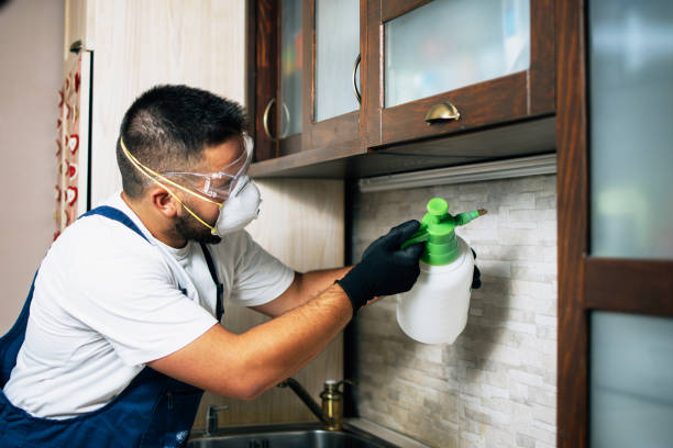 Flea Control Services in Day Heights, OH