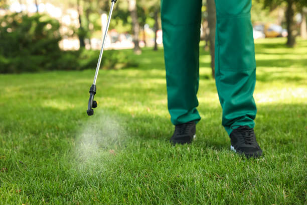 Best Affordable Pest Control Services  in Day Heights, OH