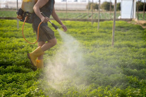 Best Commercial Pest Control Services  in Day Heights, OH