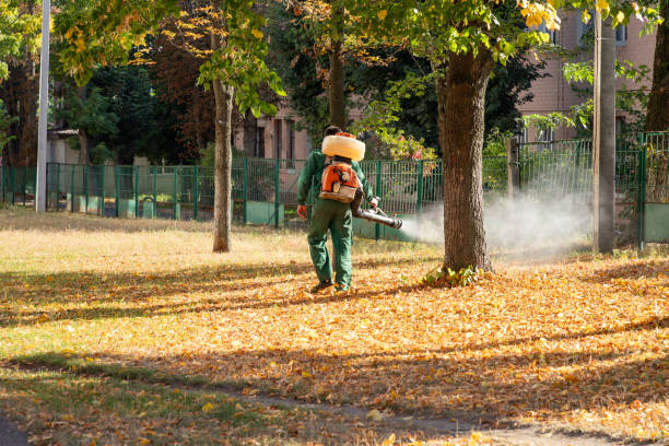 Best Pest Removal Services  in Day Heights, OH
