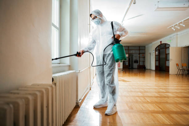 Best Pest Removal Services  in Day Heights, OH