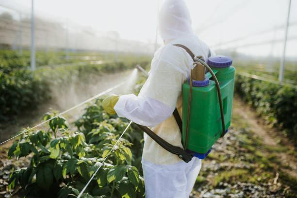 Best Affordable Pest Control Services  in Day Heights, OH